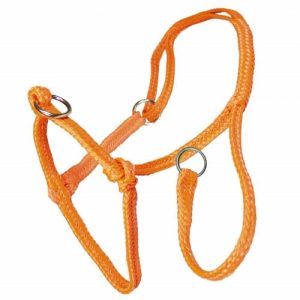 Kalverhalster nylon | oranje gevlochten