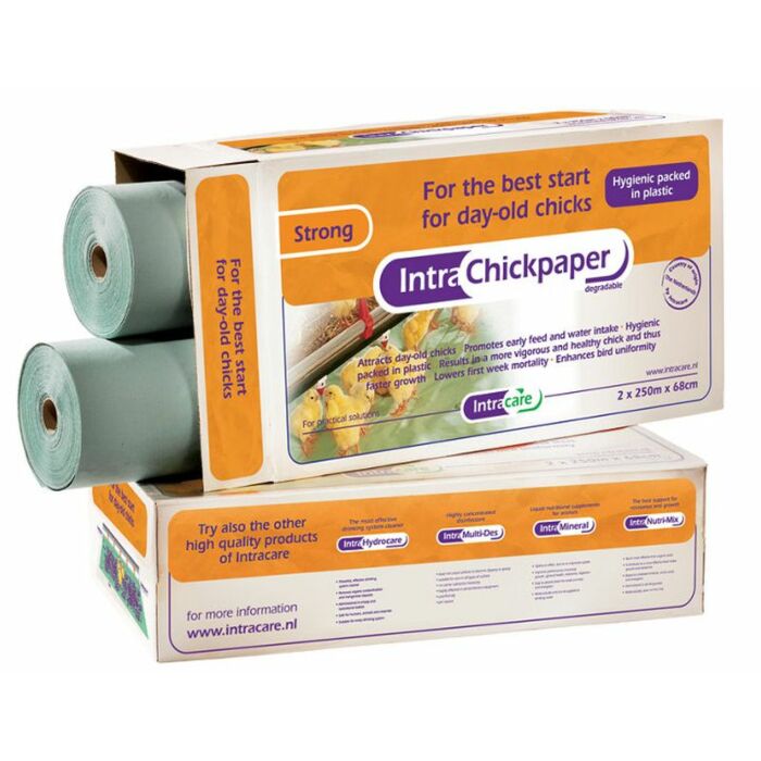 Kuikenpapier |  Strong Chickpaper | 2 rollen
