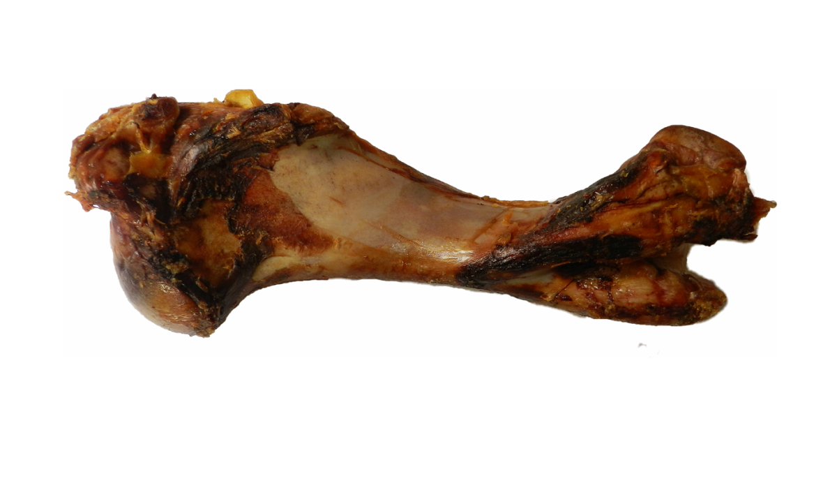 Paarden Dino