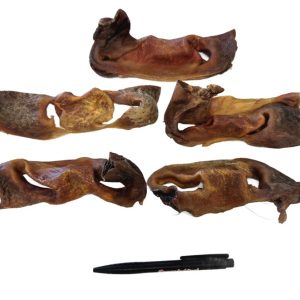Runderneus