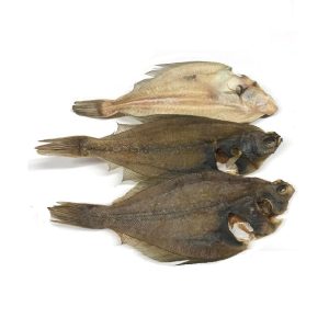 Scholletjes
